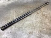 Tailgate/trunk strut/damper