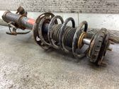 Front shock absorber with coil spring