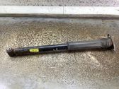 Rear shock absorber/damper