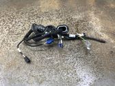 Tailgate/trunk wiring harness