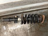Front shock absorber with coil spring