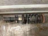 Front shock absorber with coil spring