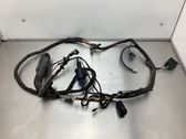 Rear door wiring loom