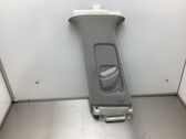 (B) pillar trim (top)