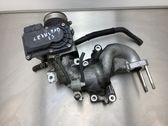 Throttle body valve