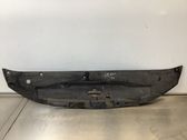 Engine bonnet/hood lock trim molding