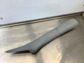 (A) pillar trim