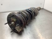 Rear shock absorber/damper