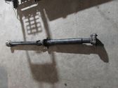 Drive shaft (set)