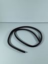 Rear door rubber seal (on body)