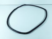 Rear door rubber seal (on body)