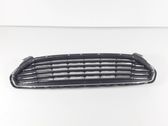 Front bumper upper radiator grill