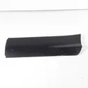 Rear door trim (molding)