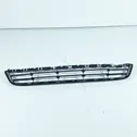 Front bumper lower grill