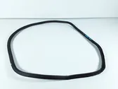 Rear door rubber seal (on body)