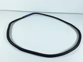 Rear door rubber seal (on body)