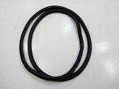 Rubber seal front coupe door
