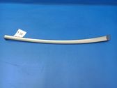 Other front door trim element
