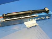 Rear shock absorber/damper