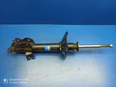 Rear shock absorber/damper