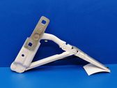 Tailgate/trunk/boot hinge