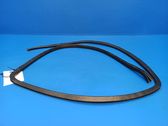 Rear door rubber seal (on body)