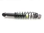 Rear shock absorber with coil spring