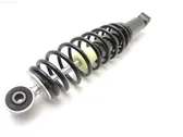 Rear shock absorber with coil spring