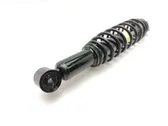 Rear shock absorber with coil spring