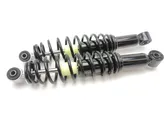 Rear shock absorber with coil spring