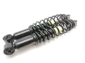 Rear shock absorber with coil spring