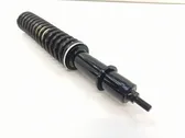 Front shock absorber with coil spring