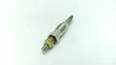 Glow plug