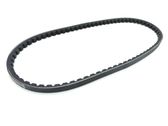 Alternator belt