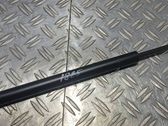 Front bonnet/hood damper/strut
