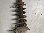 Rear shock absorber with coil spring