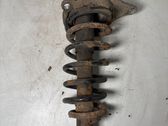 Rear shock absorber with coil spring