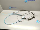 Tailgate/trunk wiring harness