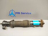 Rear shock absorber/damper