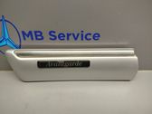 Fender trim (molding)