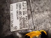 Air conditioning (A/C) compressor (pump)