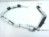 Roof airbag