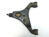 Front lower control arm/wishbone