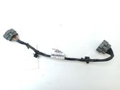 Other wiring loom