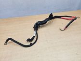Wires (starter motor)
