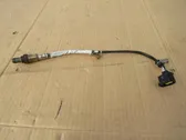 Exhaust gas temperature sensor