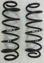 Rear coil spring