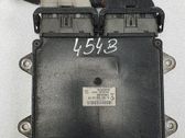 Motorsteuergerät ECU