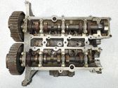 Culata del motor
