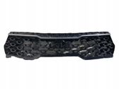 Atrapa chłodnicy / Grill